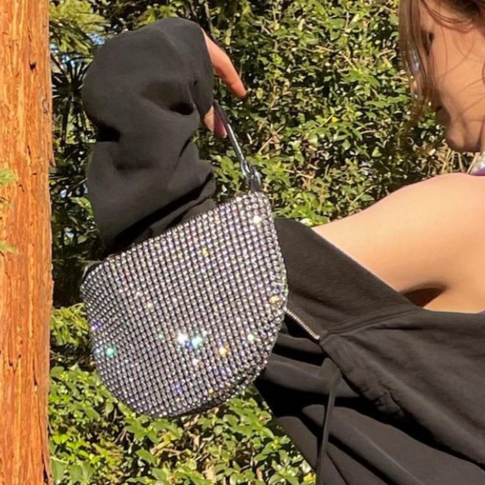 Alexander wang wangloc crystal fortune cookie clutch purse